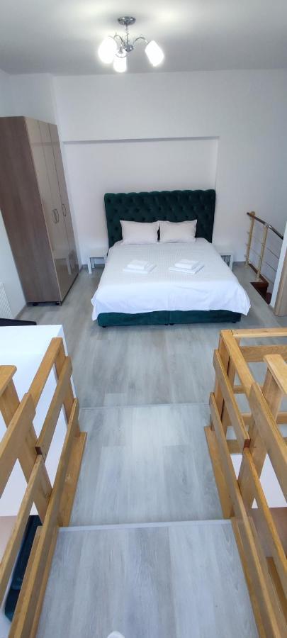 Duplex Belle View Sinaia-Free Parking Daire Dış mekan fotoğraf