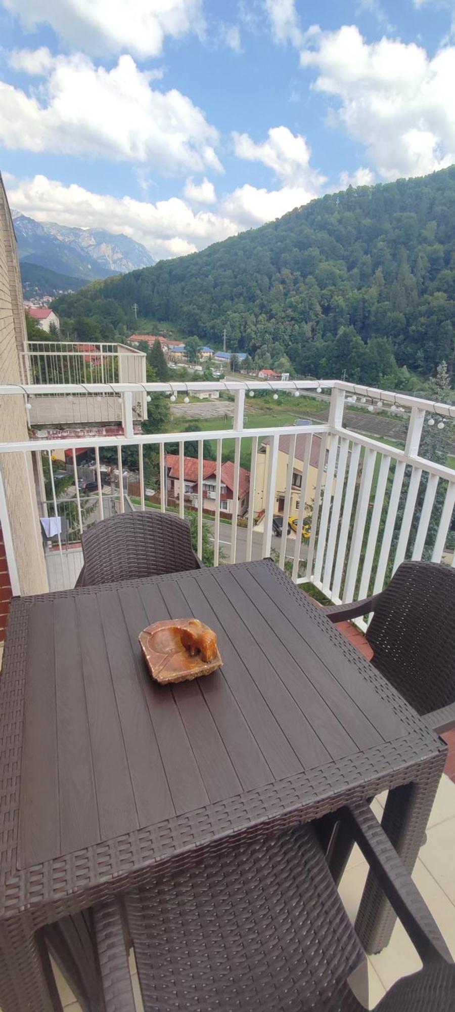 Duplex Belle View Sinaia-Free Parking Daire Dış mekan fotoğraf