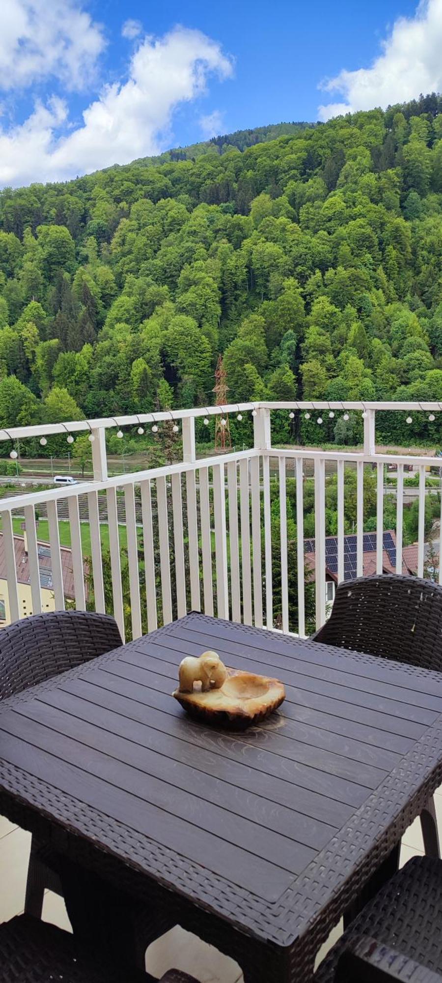 Duplex Belle View Sinaia-Free Parking Daire Dış mekan fotoğraf