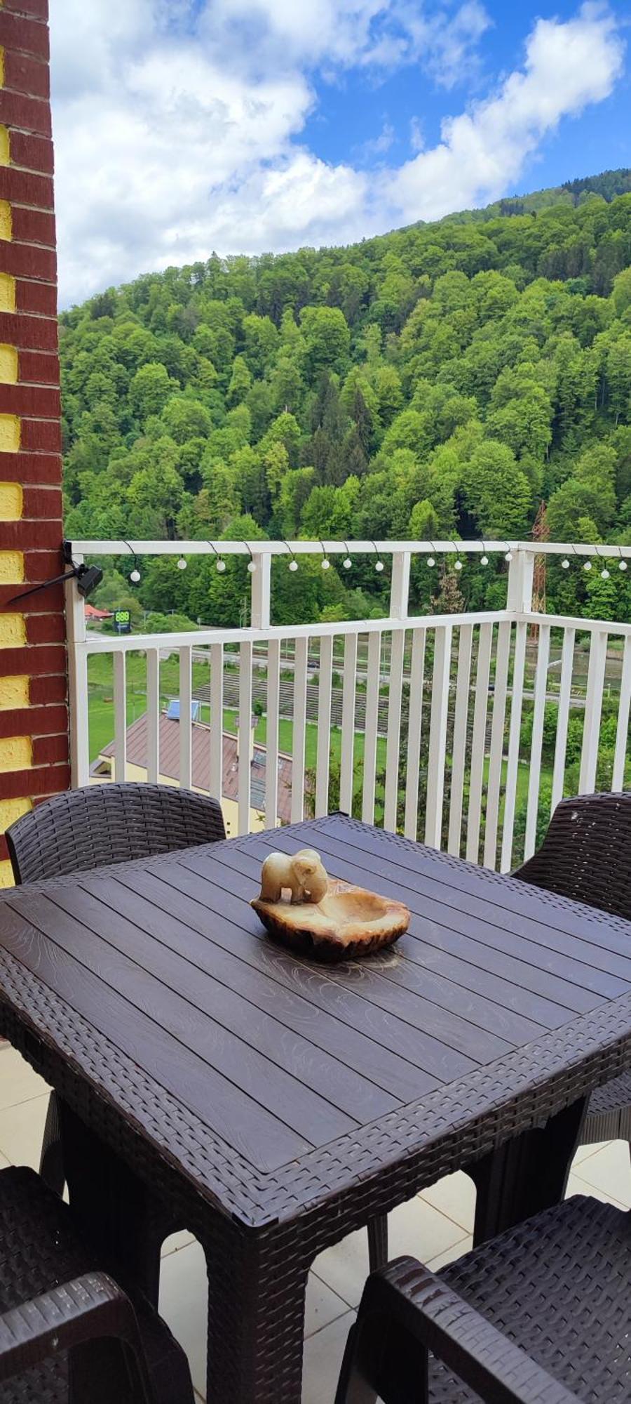 Duplex Belle View Sinaia-Free Parking Daire Dış mekan fotoğraf